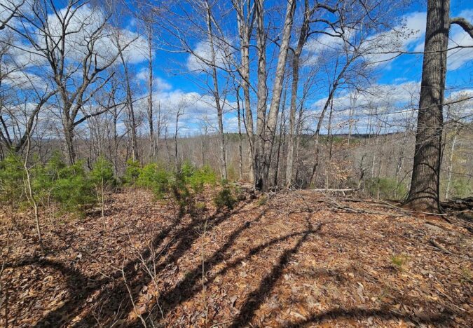 Affordable 1.48± Acre Lake Access Homesite At Smith Mountain Lake